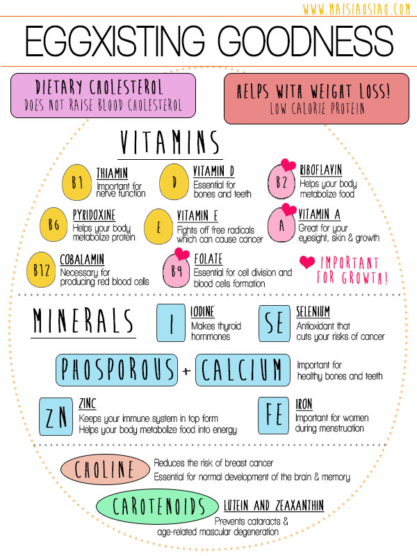 Eggs-infographic maisiaosiao.com