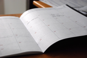 Thirty Day Window - Calendar